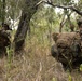 31st MEU | Animal Co. BLT 1/7 conducts simulated Helo Raid during Talisman Sabre 25