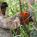 Innovative Readiness Training: Vieques