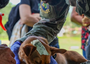 CP25 Vet Site in Limón