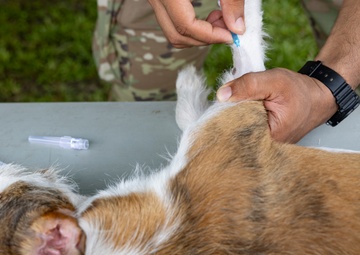 CP25 Vet Site in Limón