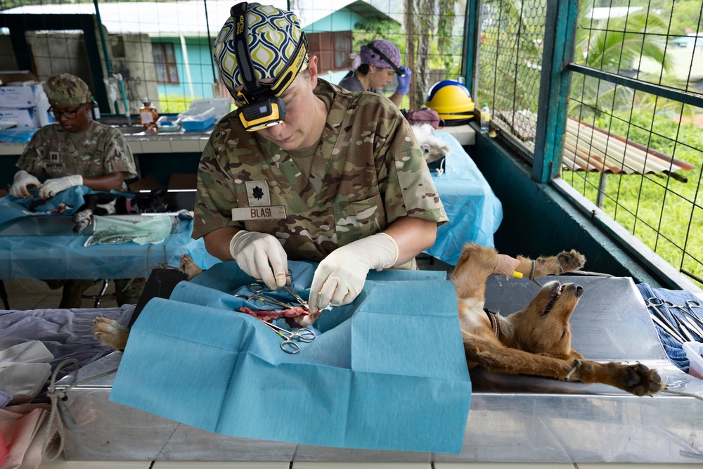 CP25 Vet Site in Limón