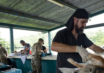 CP25 Vet Site in Limón