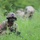 STX Lanes: 130th FAB Soldiers train at 2025 Annual Training