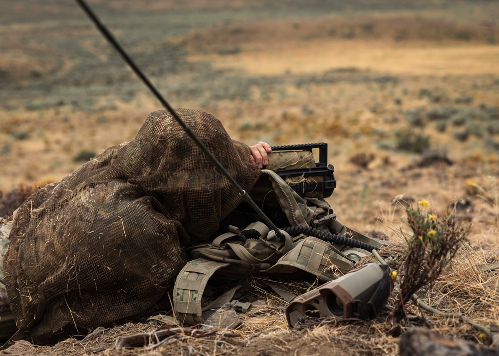 81st SBCT long range surveillance section trains for future transformation