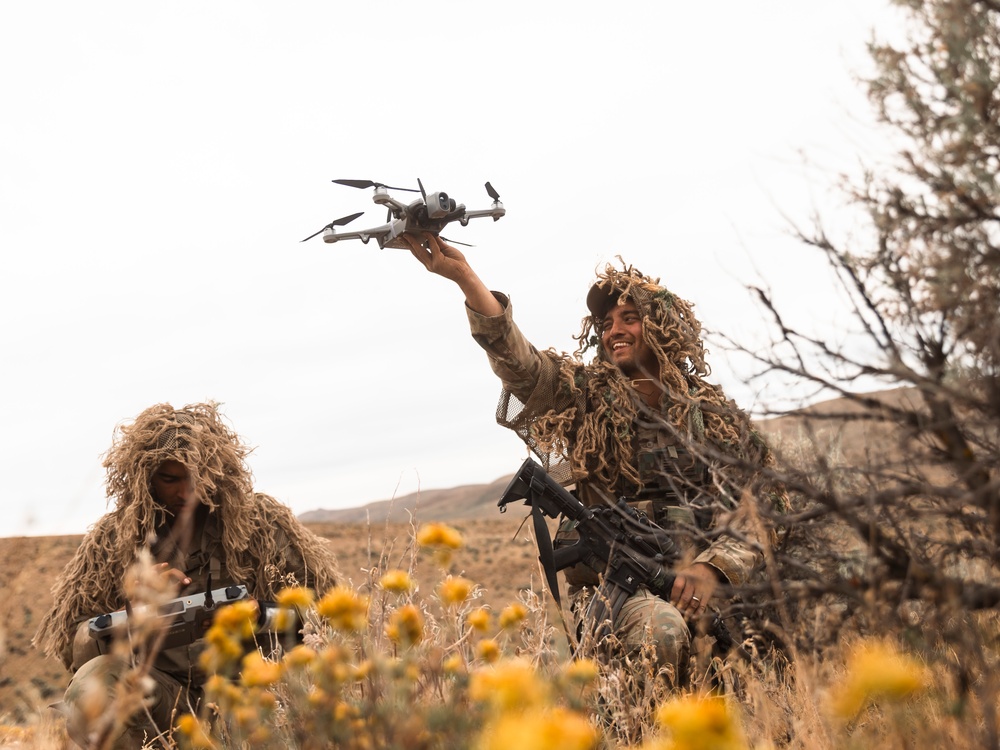 81st SBCT long range surveillance section trains for future transformation