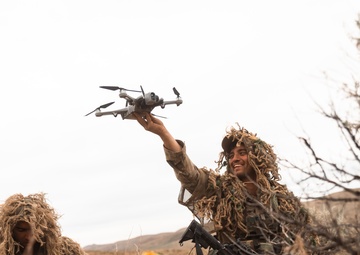 81st SBCT long range surveillance section trains for future transformation