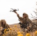 81st SBCT long range surveillance section trains for future transformation
