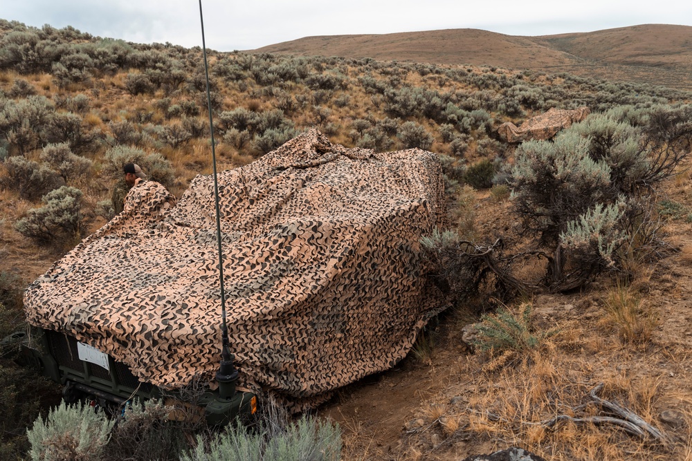 81st SBCT long range surveillance section trains for future transformations
