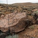 81st SBCT long range surveillance section trains for future transformations