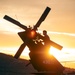 Washington National Guard Black Hawk helicopters at sunset