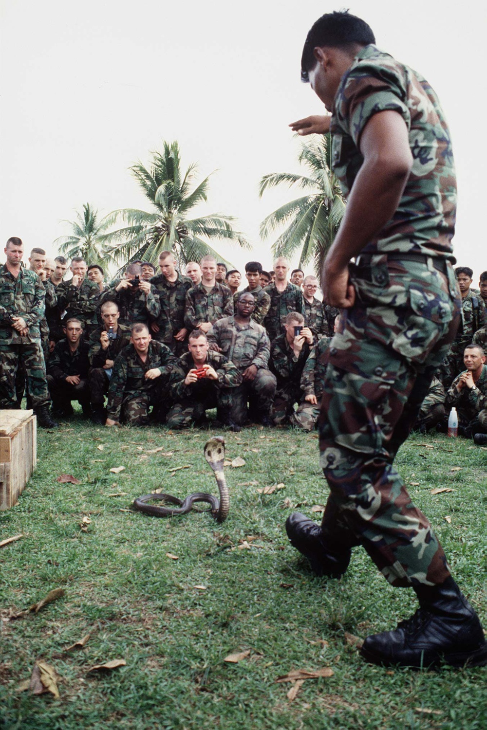 Royal Thai Army instructor uses a cobra to demonstrate jungle survival skills.