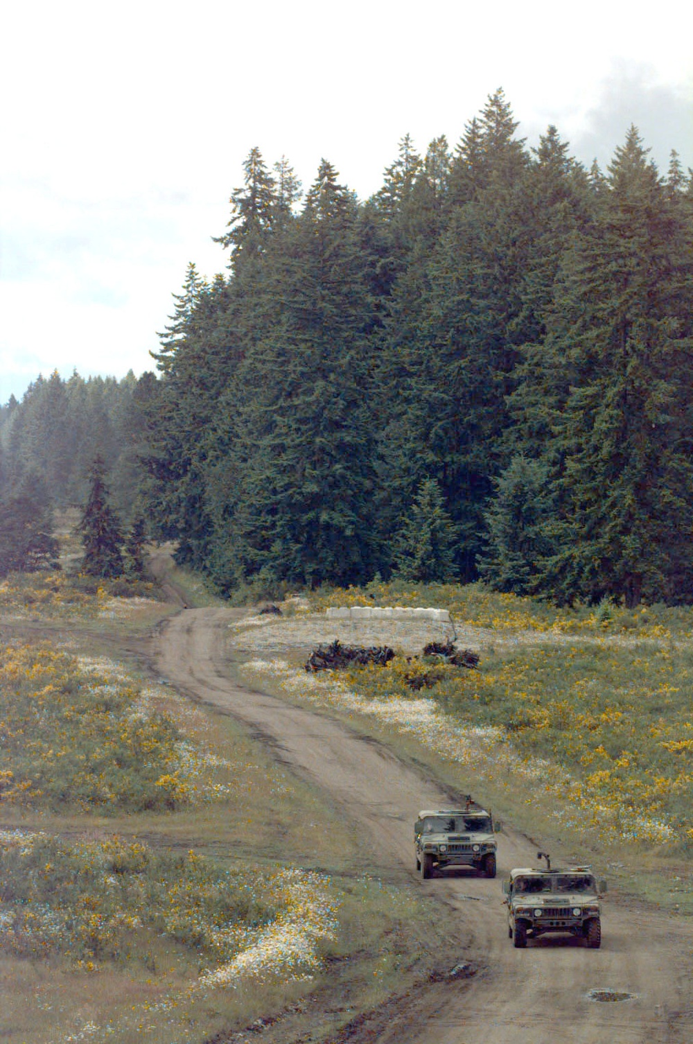 The 349th Security Police Squadron searches for a simulated missing United Nations truck.