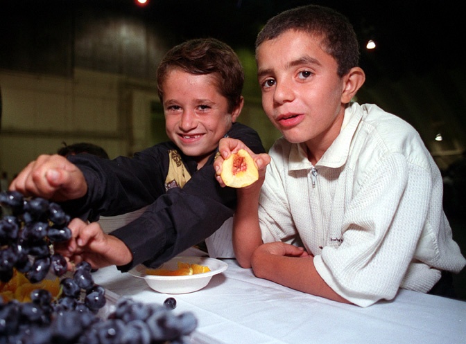 DVIDS Images Two young Kurdish - 672w Q95