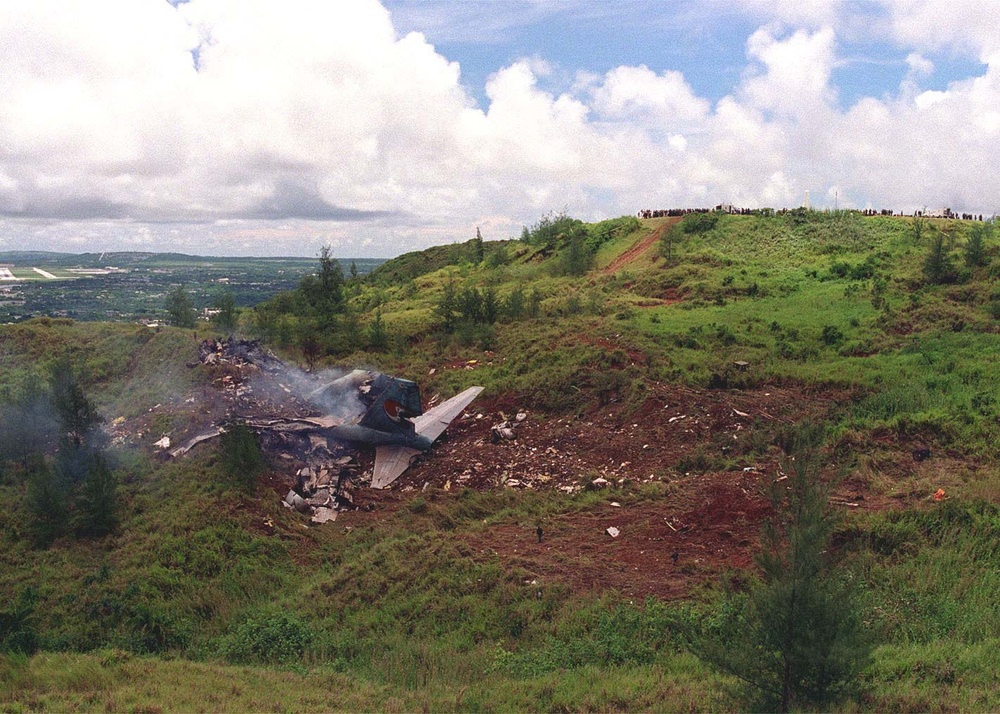 Crash site of Korean Airlines flight 801.