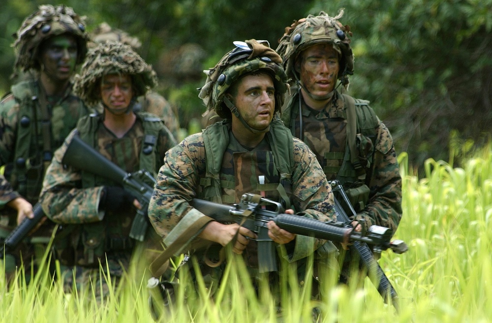 Marines move through dense ground cover on the outskirts of a city occupied by simulated opposition.