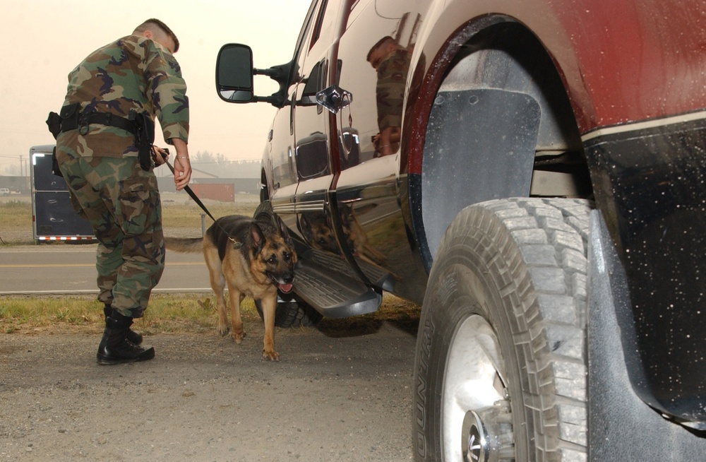 Staff Sgt. Robert Houp and his dog Rin Tin inspect a truck for contraband.