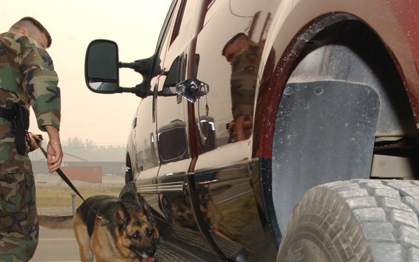Staff Sgt. Robert Houp and his dog Rin Tin inspect a truck for contraband.