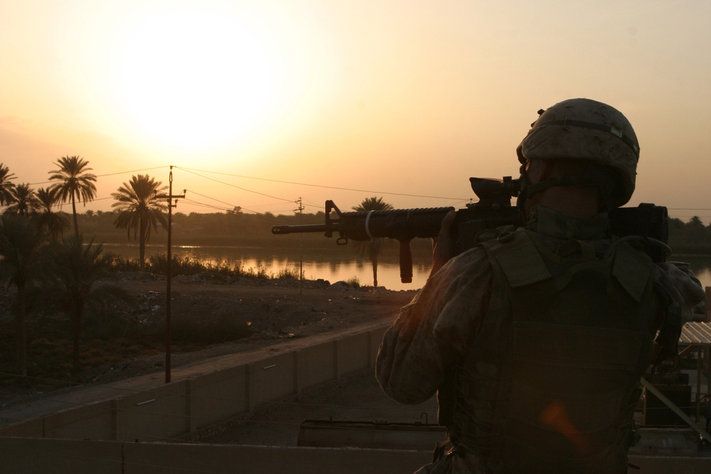 U.S. Marines patrol south towards a palm grove.