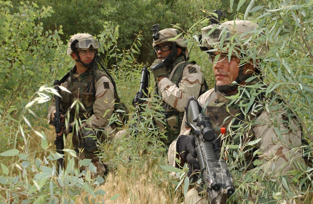 Soldiers conduct a search for insurgents.