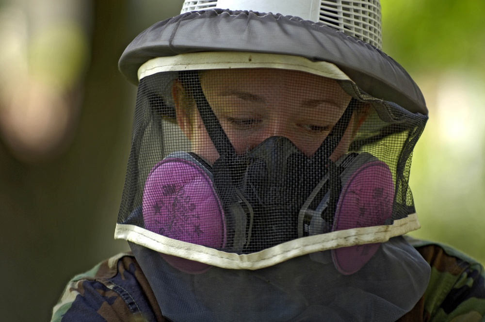 U.S. Air Force Senior Airman Elizabeth Eggert looks at a swarm of bees.