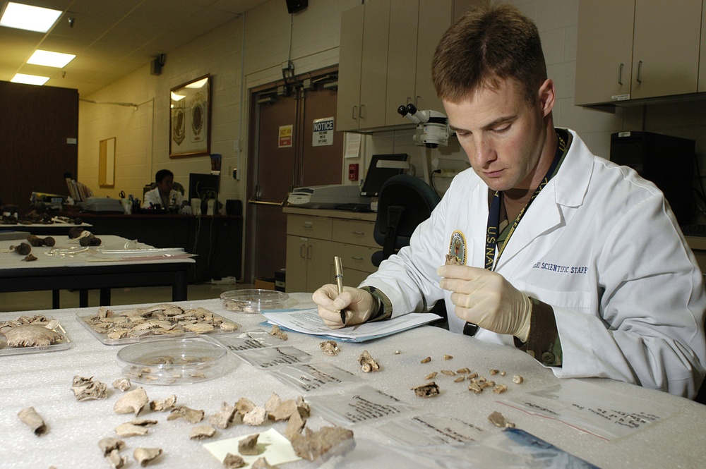 Cmdr. Kevin Torske catalogs the dental remains of a possible service member.
