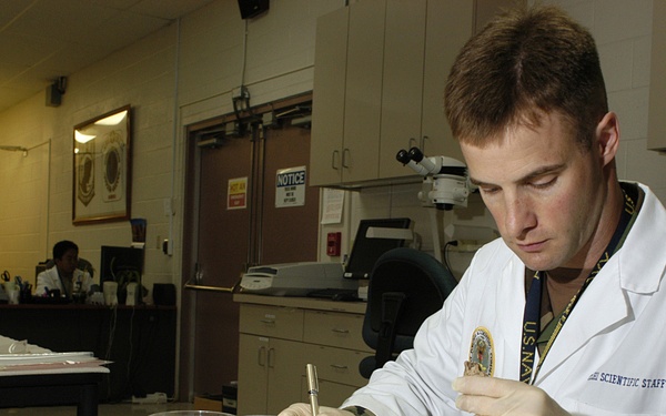 Cmdr. Kevin Torske catalogs the dental remains of a possible service member.
