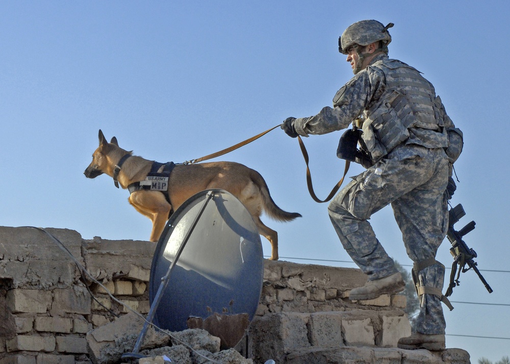 A U.S. Army dog handler and his dog crest the roof of a building.