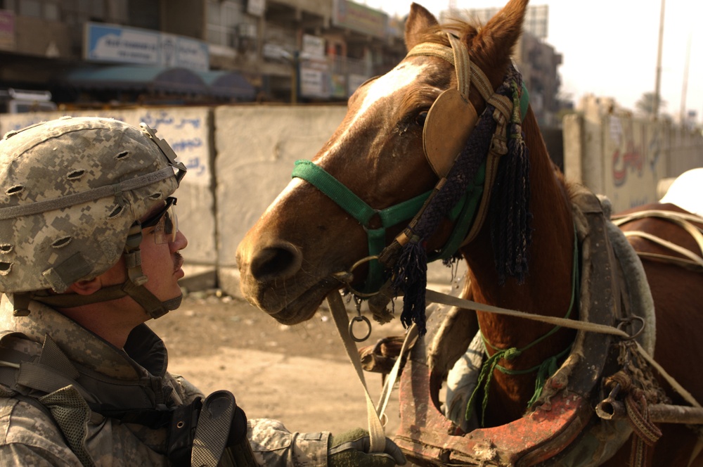 Spc. Kidney holds the reins of a horse.