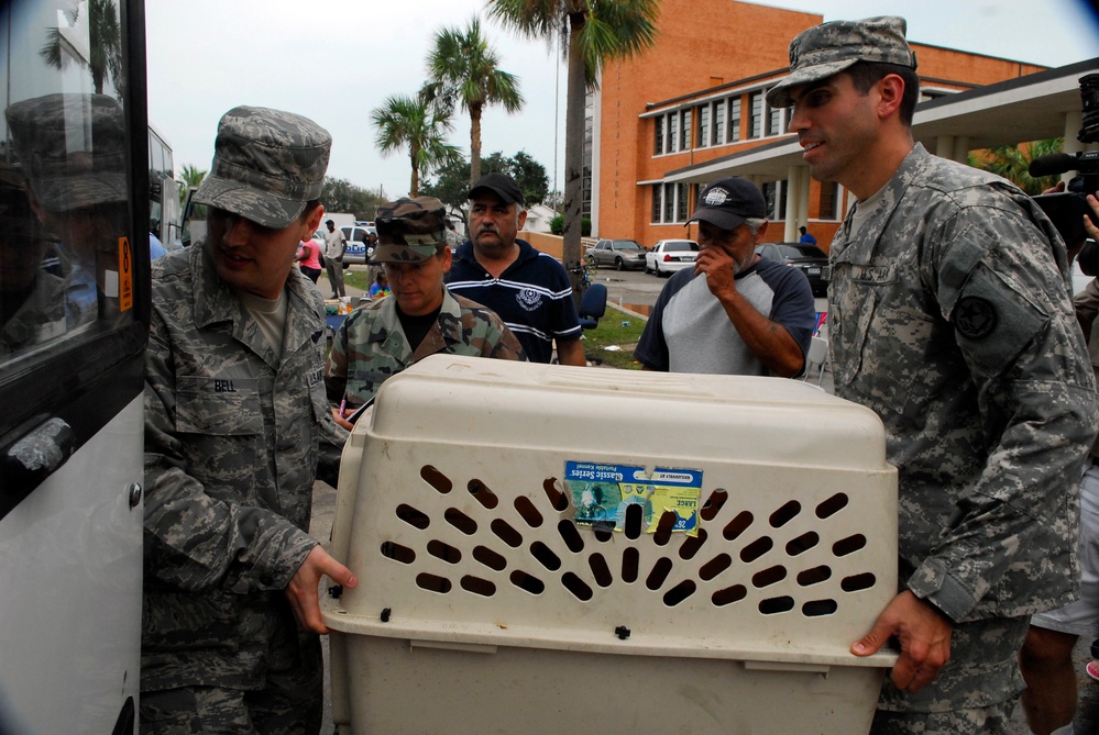 DVIDS - Images - A U.S. airman and a soldier carry a pet carrier onto a ...