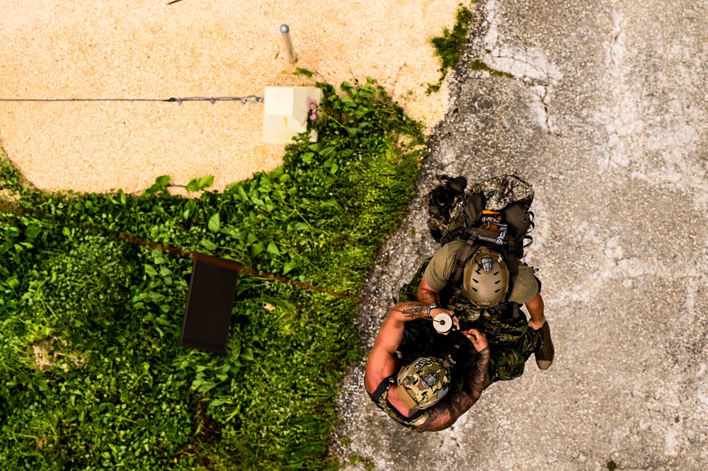 Welcome to the Jungle