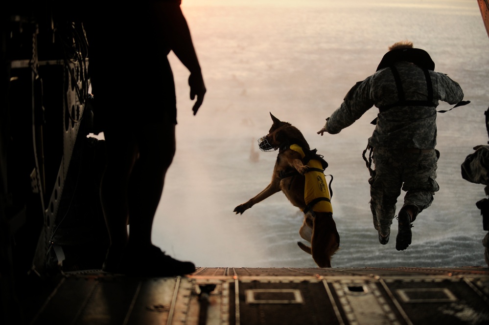 A U.S. Army soldier and his military working dog jump off the ramp of a CH-47 Chinook helicopter.
