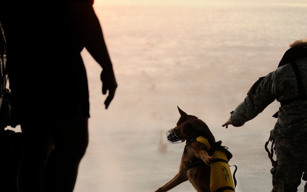 A U.S. Army soldier and his military working dog jump off the ramp of a CH-47 Chinook helicopter.