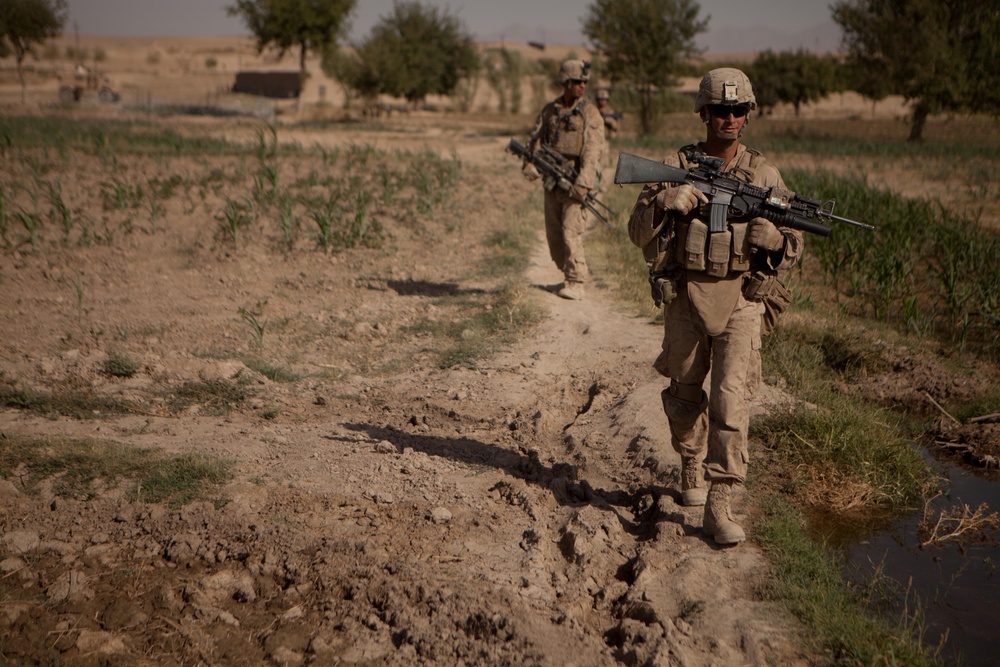 Cpl. Robert Dominguez walks between cornfields while conducting a security patrol in Sangin. Cpl. Robert Dominguez walks between cornfields while conducting a security patrol in Sangin.