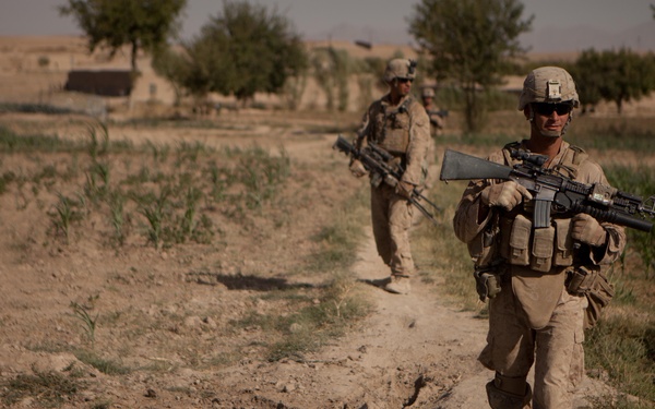 Cpl. Robert Dominguez walks between cornfields while conducting a security patrol in Sangin.