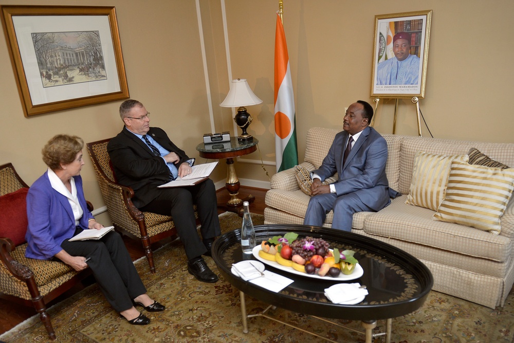 Work Meets With Niger President