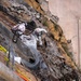 USACE supports Wildfire Debris Removal in Southern California
