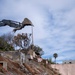 USACE supports Wildfire Debris Removal in Southern California