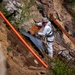 USACE supports Wildfire Debris Removal in Southern California