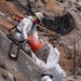 USACE supports Wildfire Debris Removal in Southern California