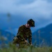 173rd Airborne Brigade perform an airborne operation in Aviano