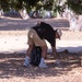 NSA Souda Bay Volunteers Clean Agioi Apostoloi Park