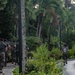 Training on Island Time: Koa Moana Marines Conduct Physical Training in Palau