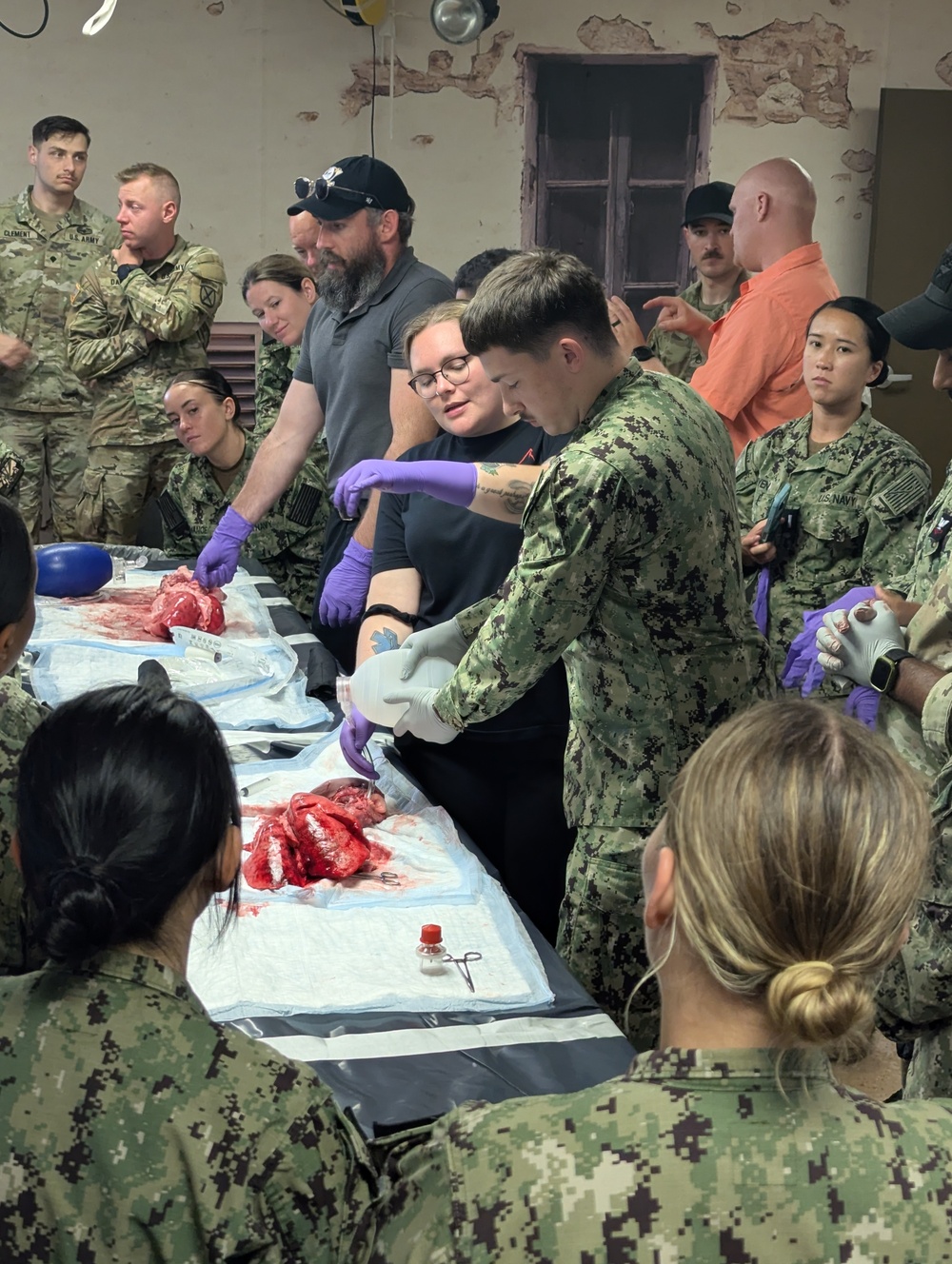 Navy Reservists hone medical skills during Operation Commanding Force at Fort Drum