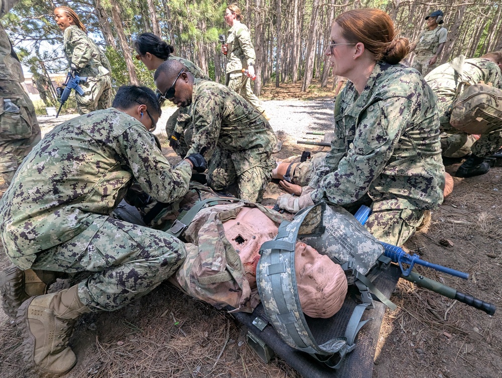 Navy Reservists hone medical skills during Operation Commanding Force at Fort Drum