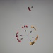 U.S. and British Army Parachute Teams Execute First-Ever 6-Way Downplane