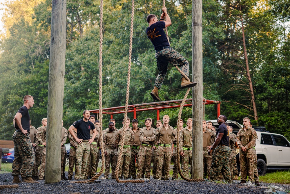 Virginia Tempest: British Royal Marines conduct o-course
