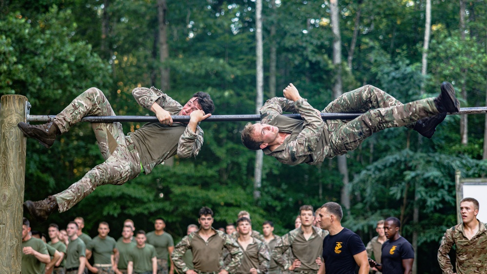Virginia Tempest: British Royal Marines conduct o-course