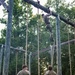 Virginia Tempest: British Royal Marines conduct o-course