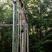 Virginia Tempest: British Royal Marines conduct o-course