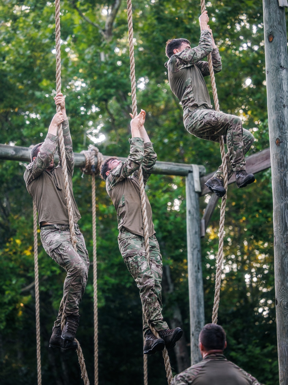 Virginia Tempest: British Royal Marines conduct o-course